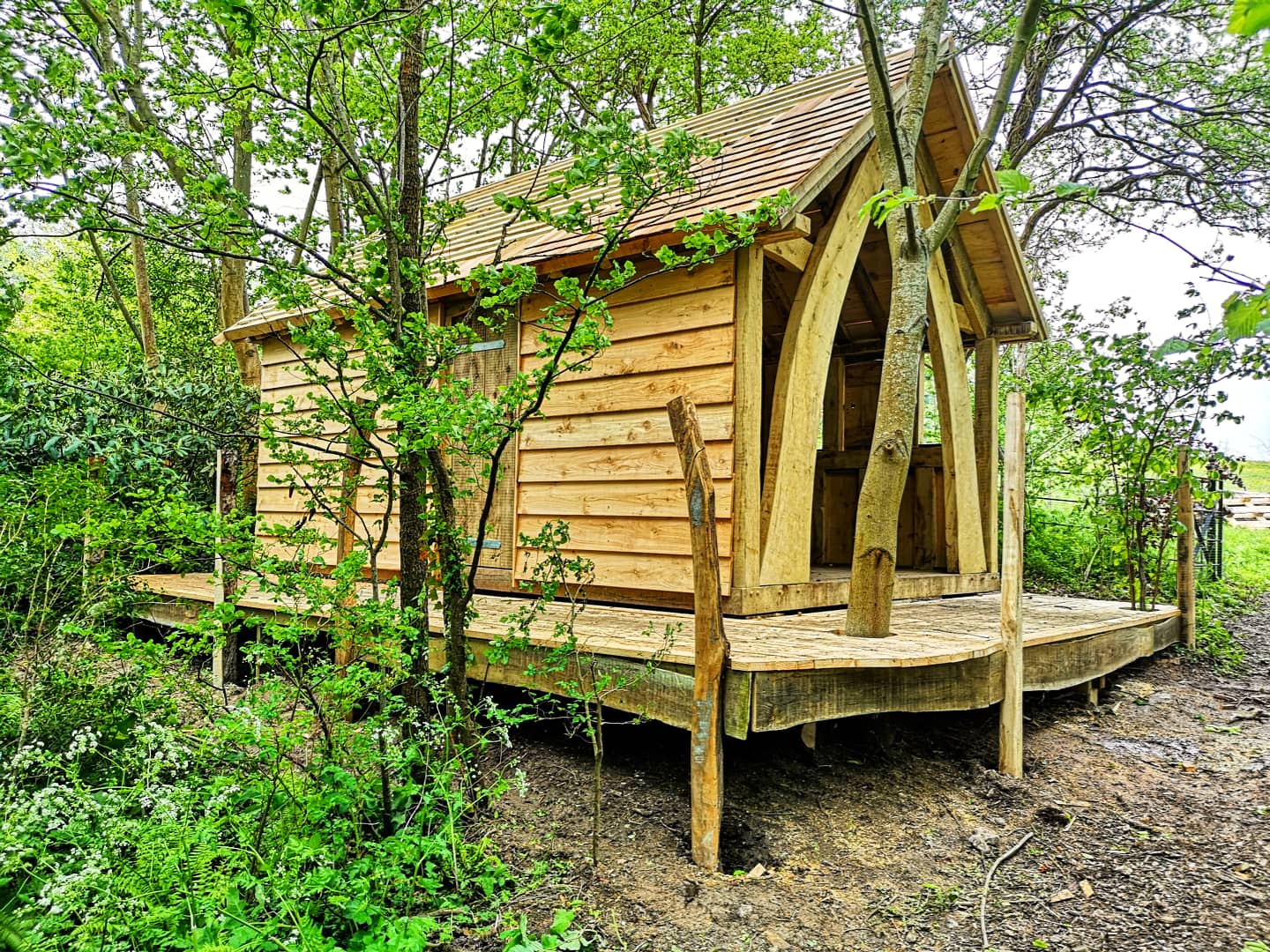 Timber Frames