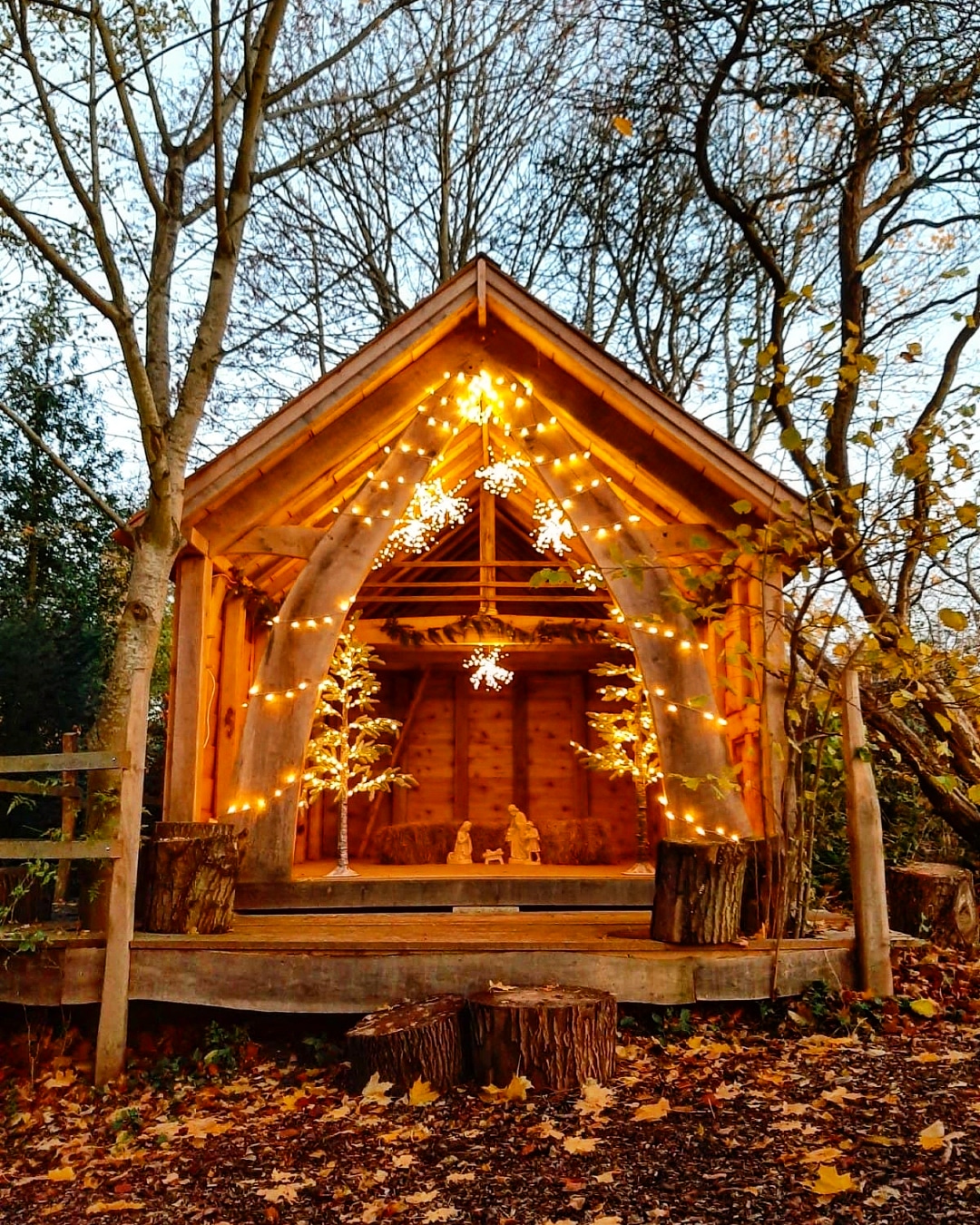 Timber Frames